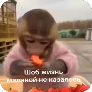 😉
