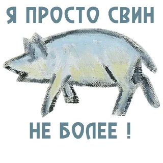 🐷