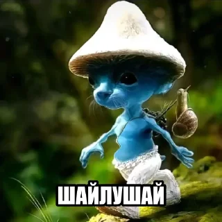 🍄