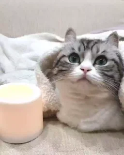 🕯