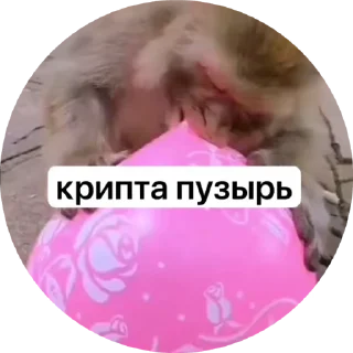 🎈