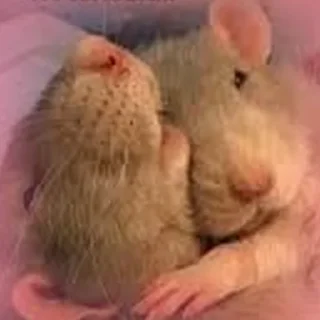 🤗