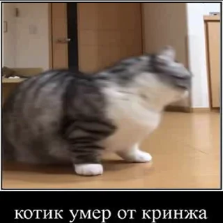 ☠