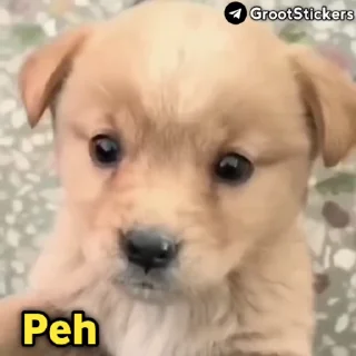 😒