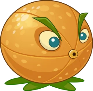 🍊