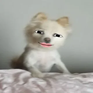 🤩