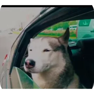 👍
