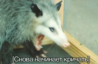 😨