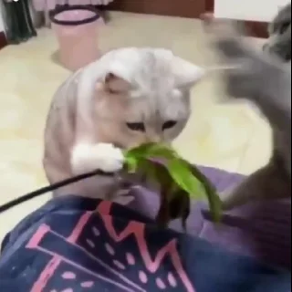 😢
