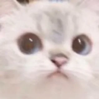 😳