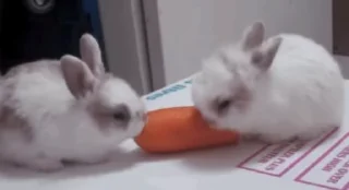 😋