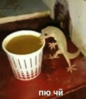 😈