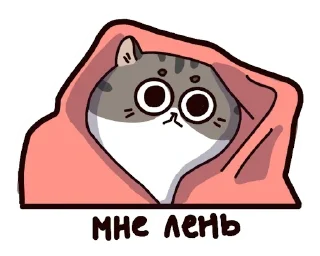 🐈
