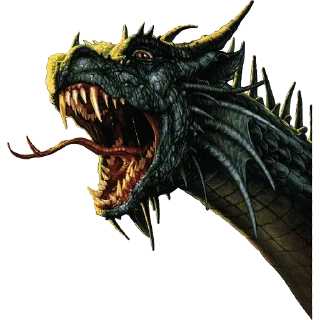 🐲