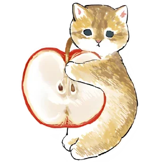 🍎