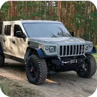 🚗