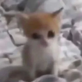 🤥