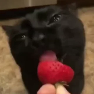 🍓