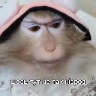 🔍