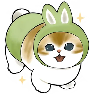 🐰