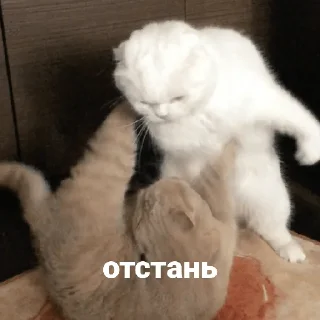 😡