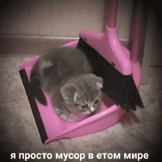 😺