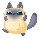 Cute fluffy Simi