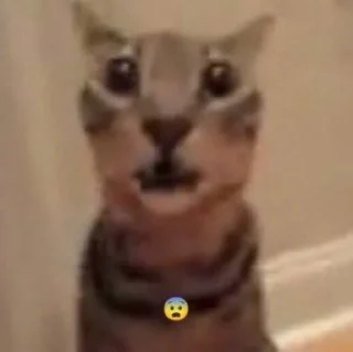 😨