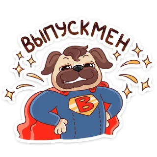 🦸‍♂️
