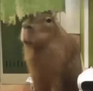 🤨