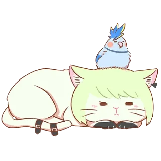 🐱