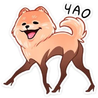 👋