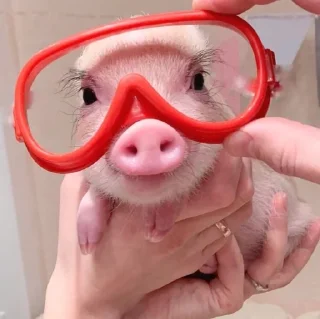 🤓
