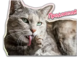 😨