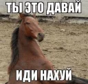 👉