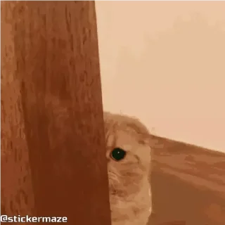👀