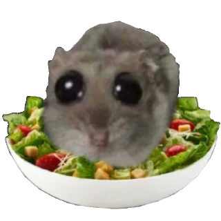 🥗