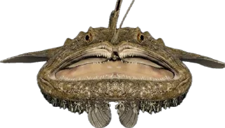 🎣