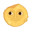🌚