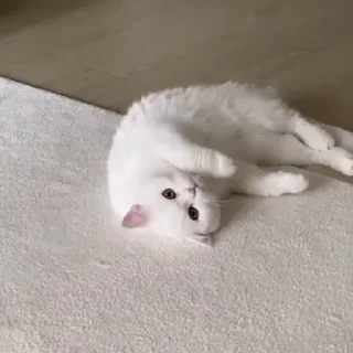 🙃