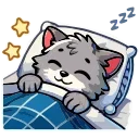 😴