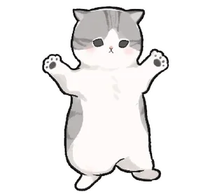 🐱