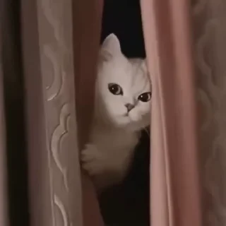 👀