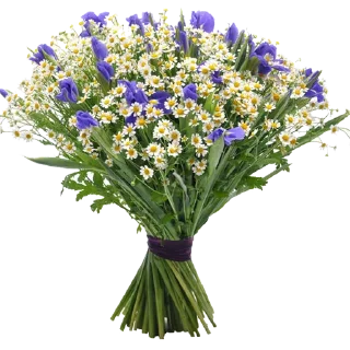 💐