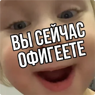 🙀