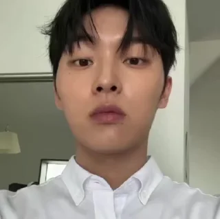 🐱