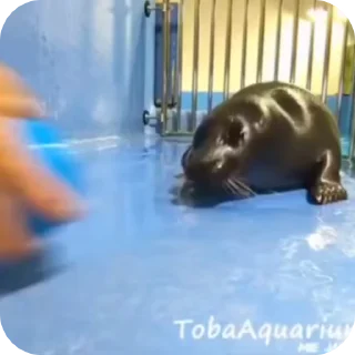🤪