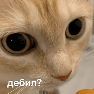 🥲