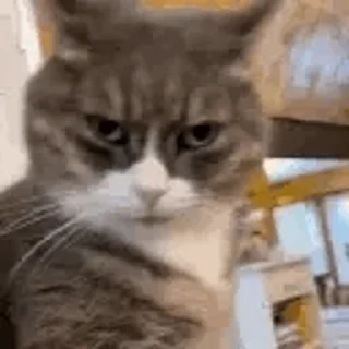 🤨