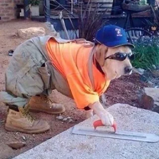 😎